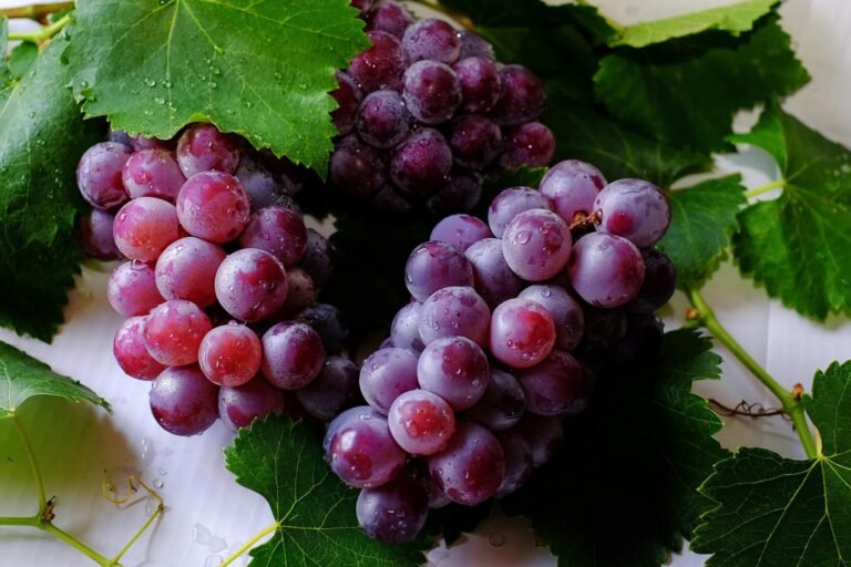 Racimos de uvas frescas con gotas de agua sobre hojas verdes, ideales para temas de alimentación y naturaleza