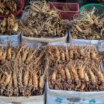 Raíces de ginseng frescas exhibidas en cajas en un mercado, destacando su uso en medicina natural y tradicional.