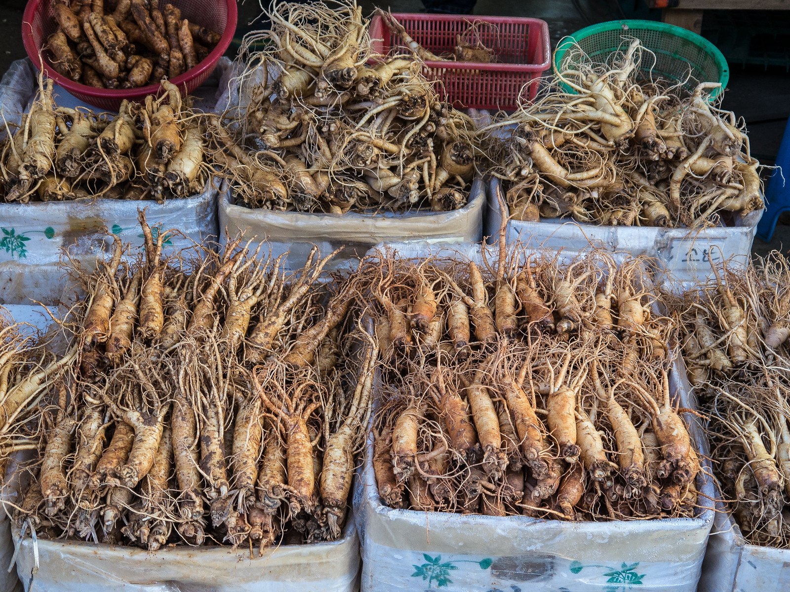 Raíces de ginseng frescas exhibidas en cajas en un mercado, destacando su uso en medicina natural y tradicional.