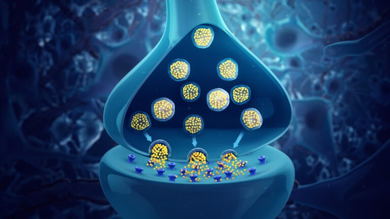 Ilustración 3D de la liberación de neurotransmisores en una sinapsis neuronal.