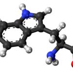 Representación 3D de la molécula de triptófano con estructura química detallada.