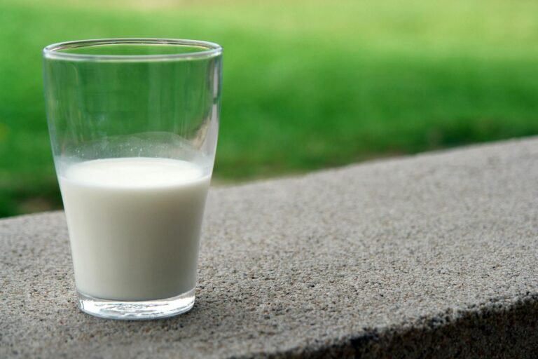 Vaso de leche sobre una superficie al aire libre, representando un alimento básico rico en calcio y nutrientes.