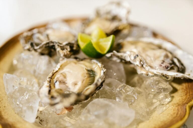 Ostras frescas servidas sobre hielo con rodajas de lima, un plato elegante y fresco.