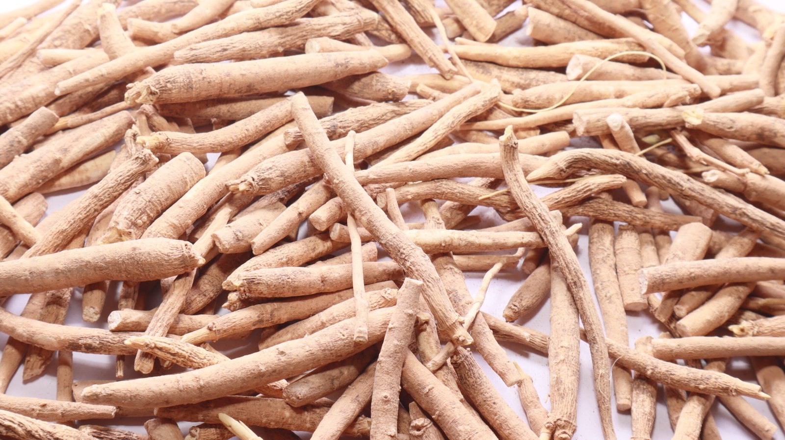 Raíces secas de ashwagandha utilizadas en medicina natural.