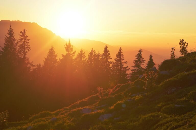 Puesta de sol vibrante sobre terreno montañoso con silueta de árboles y cálidos tonos anaranjados.