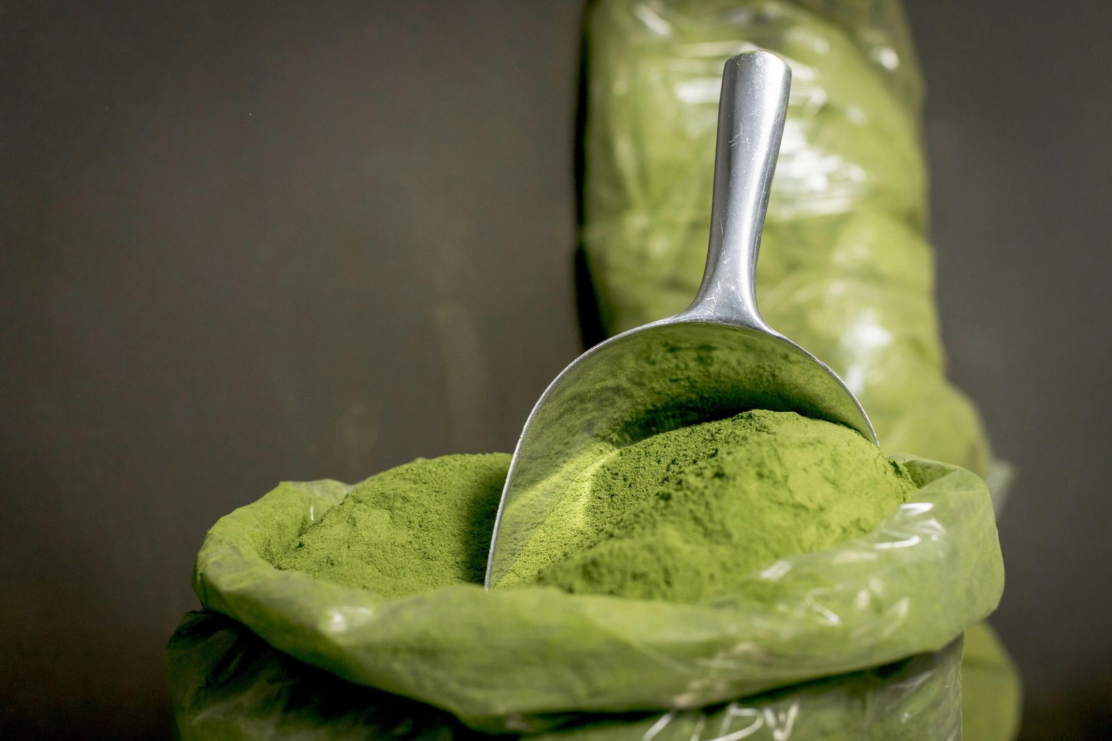 Primer plano de polvo de moringa fresco en una cuchara de acero inoxidable, resaltando su vibrante color verde.
